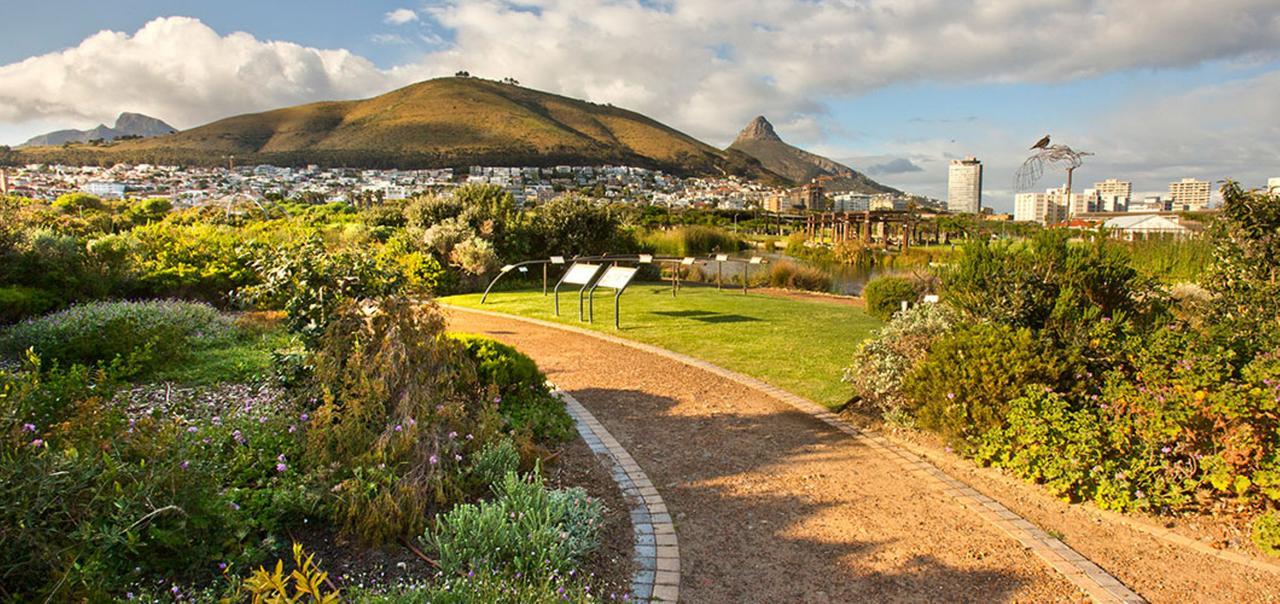 Harbour Terrace 48 By Ctha Daire Cape Town Dış mekan fotoğraf